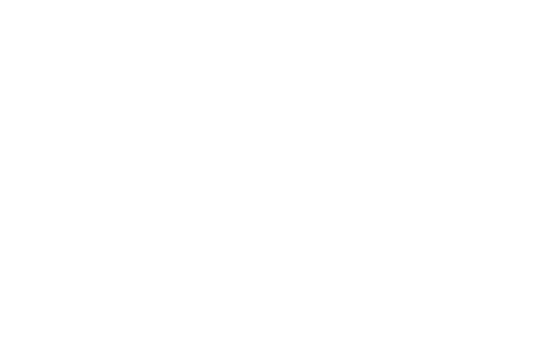 OFFICIAL SELECTION - Big Apple Film Festival and Screenplay Competition - 2025