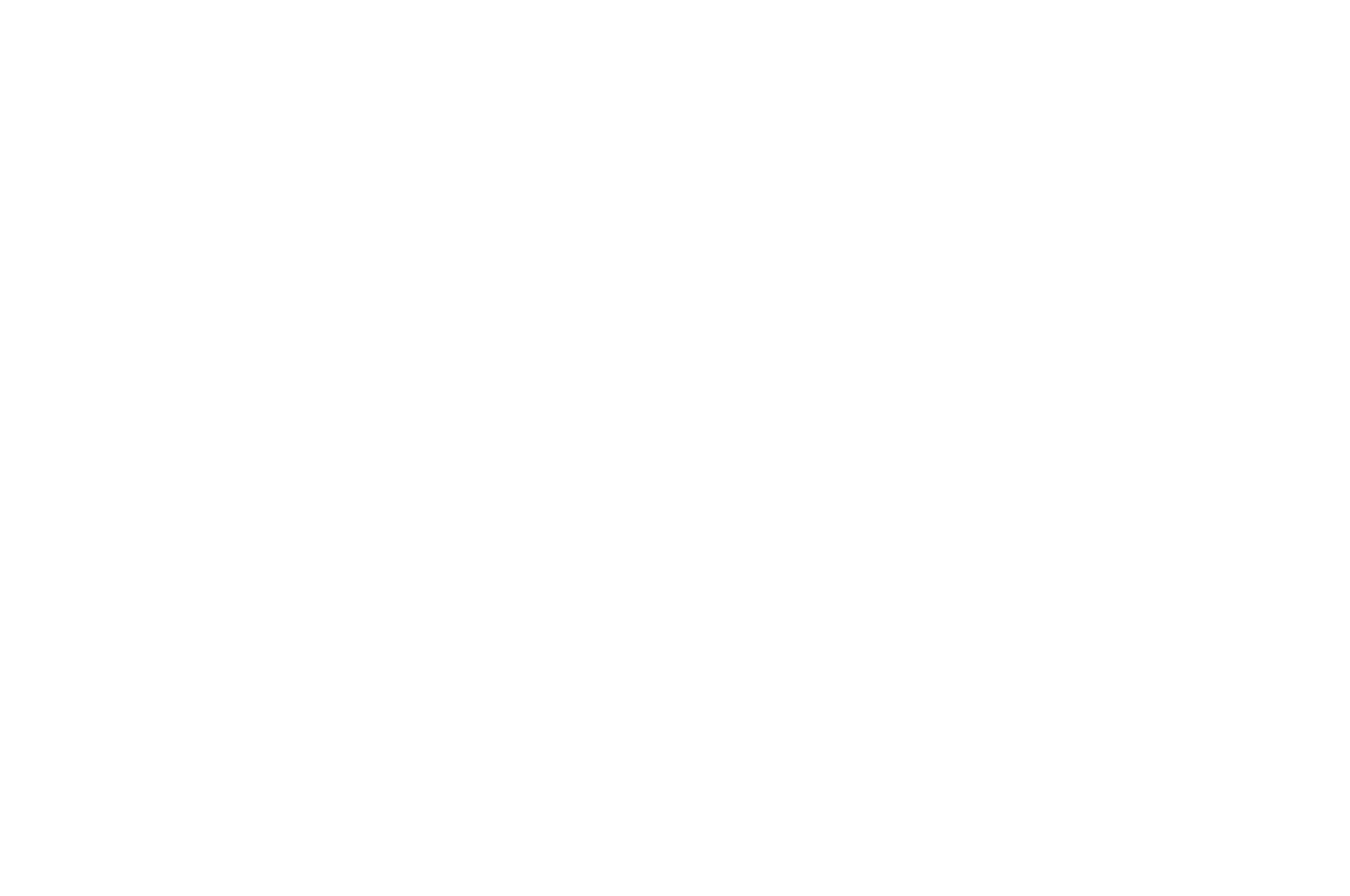 OFFICIAL SELECTION - Chicago South Asian Film Festival - 2022