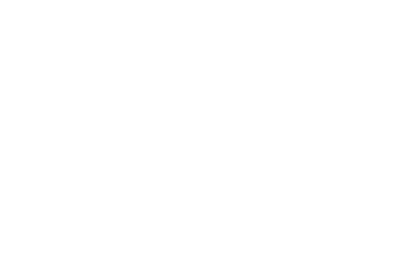 OFFICIAL SELECTION - DC South Asian Film Festival - 2022
