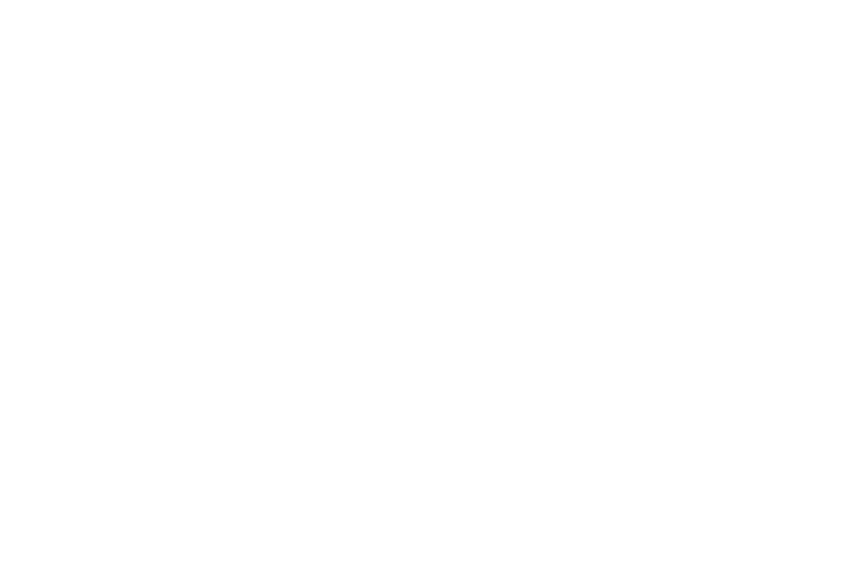 OFFICIAL SELECTION - Director Talents Movie Awards London - 2025