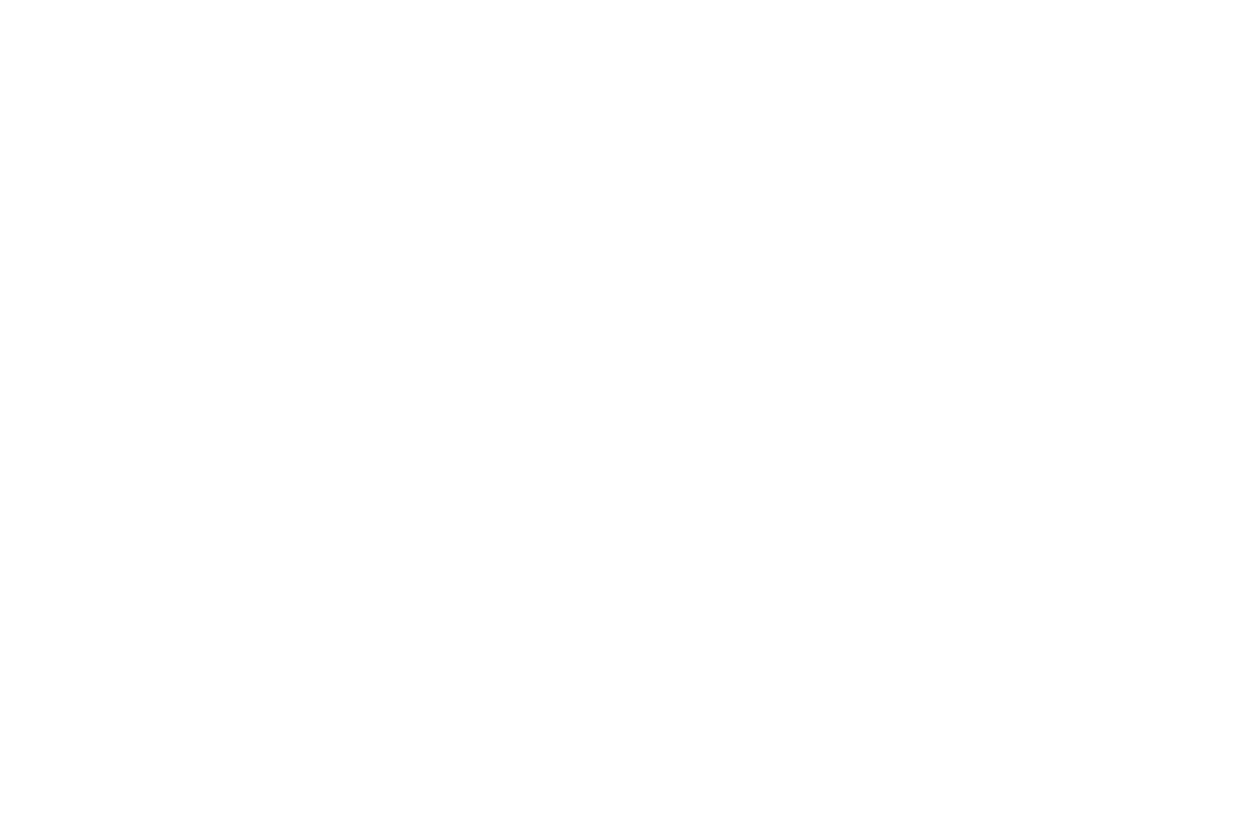 OFFICIAL SELECTION - Goa Short Film Festival - 2025