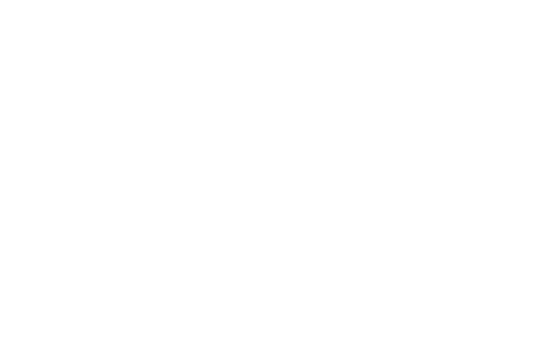 OFFICIAL SELECTION - Indian Independent Film Festival - 2025