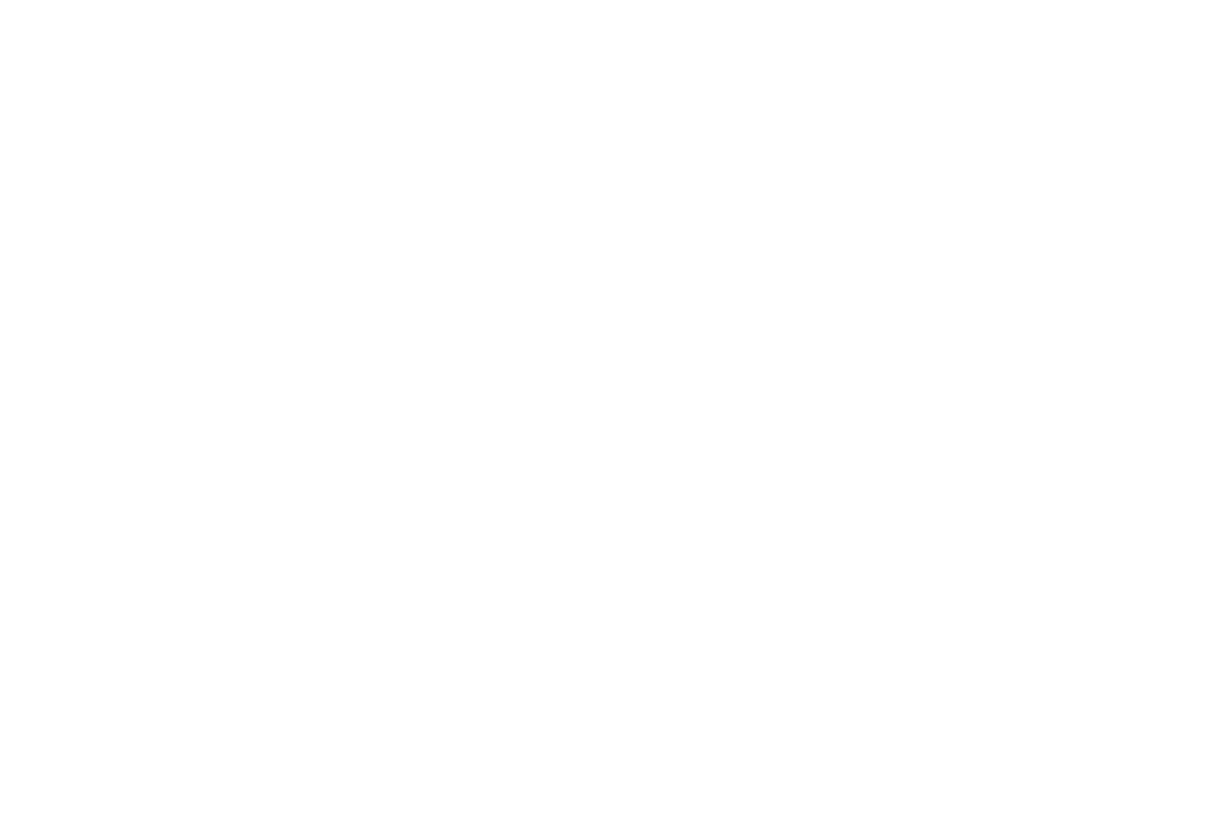 OFFICIAL SELECTION - Kalakari Film Fest - 2025