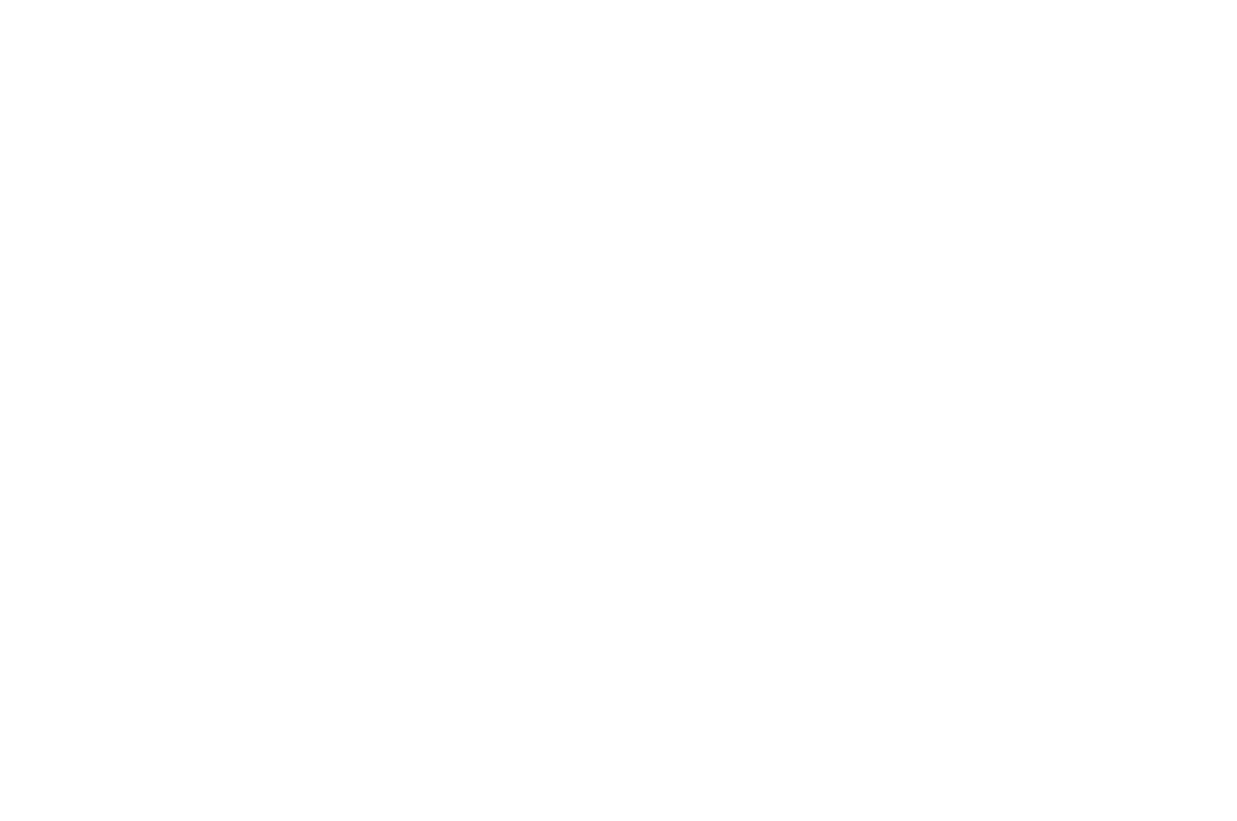 OFFICIAL SELECTION - Mumbai Indie-Film Festival- 25 - 2025