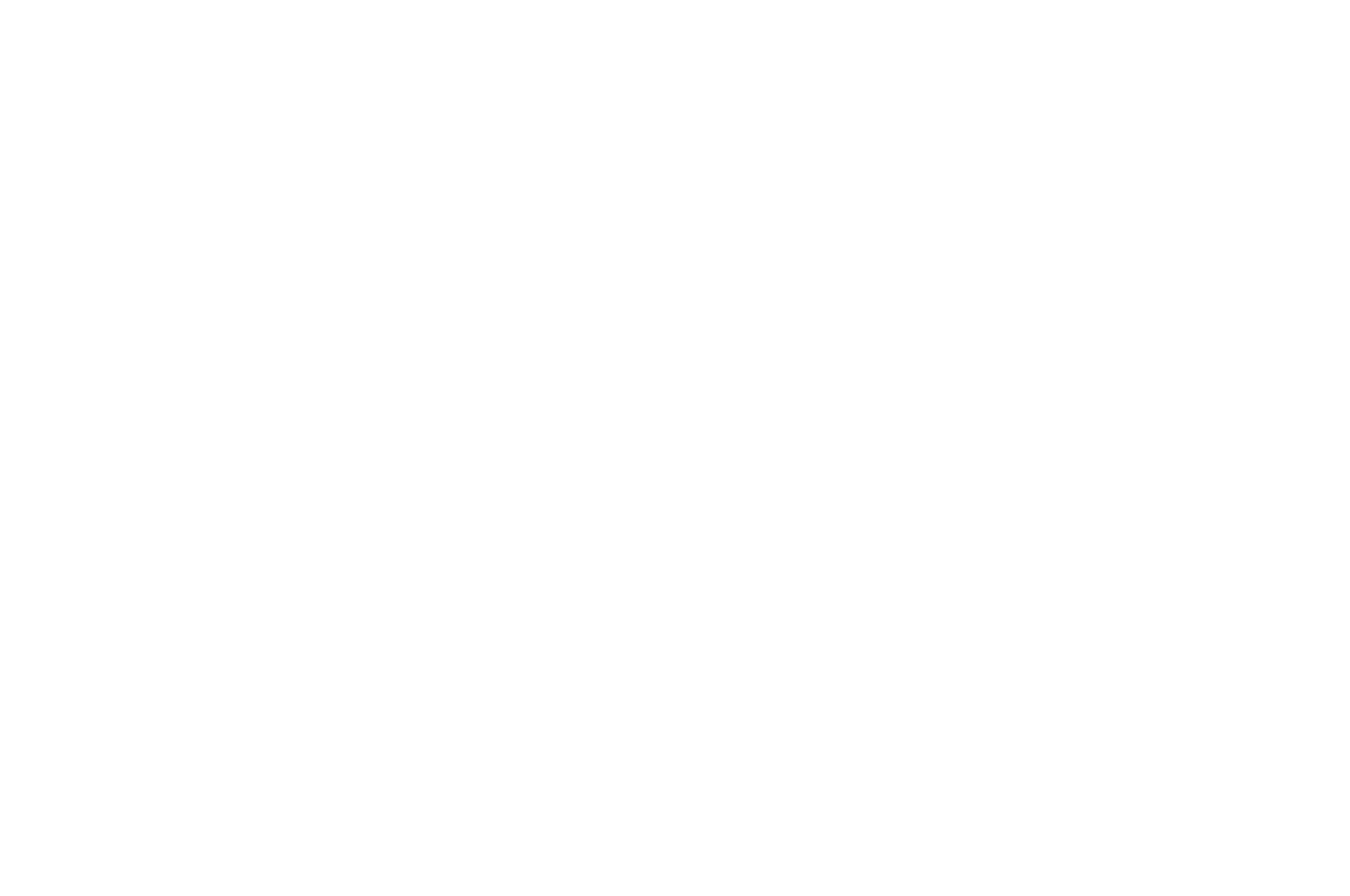 OFFICIAL SELECTION - River to River Florence Indian Film Festival - 2024
