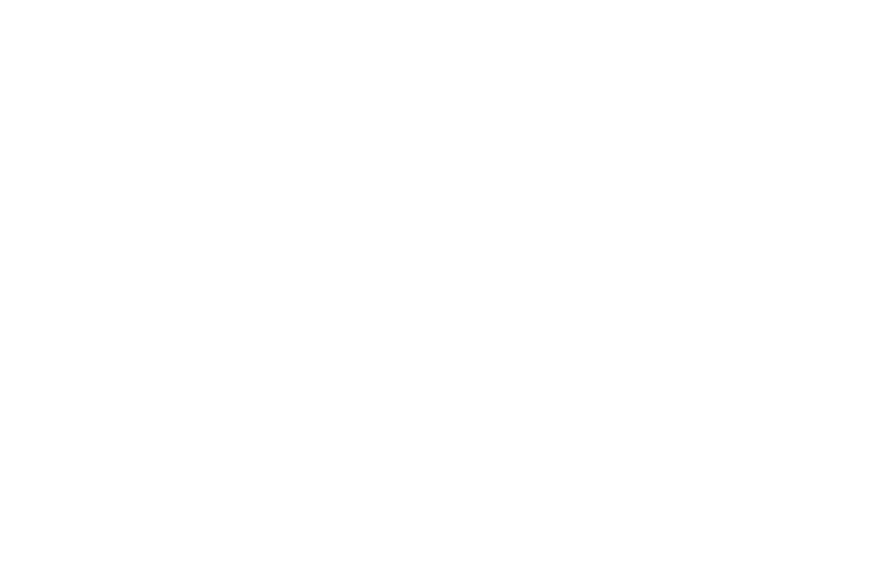 OFFICIAL SELECTION - Twelve Lions Film Festival - 2024
